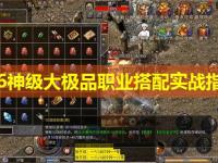 1.76神级大极品职业搭配实战指南